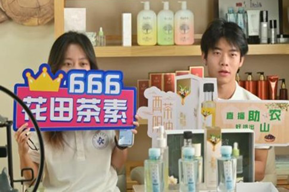 图片4