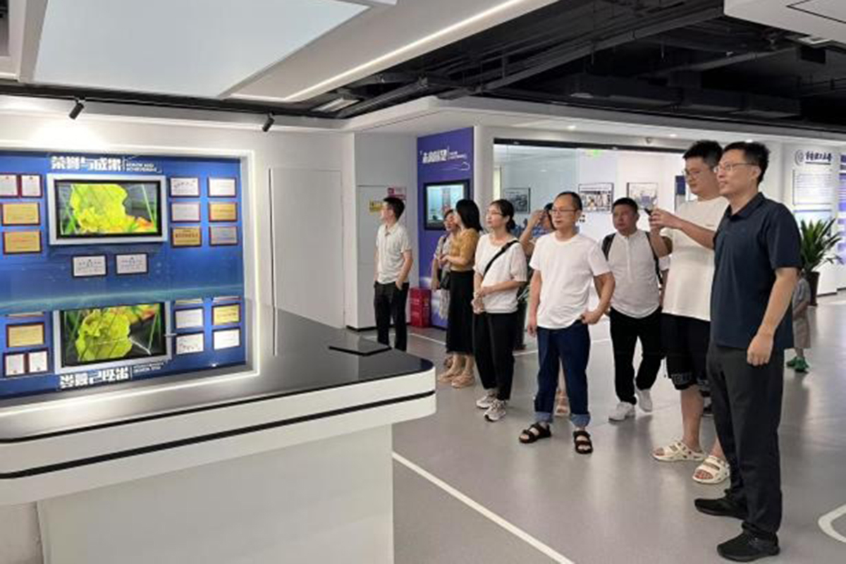 图片9 图片9